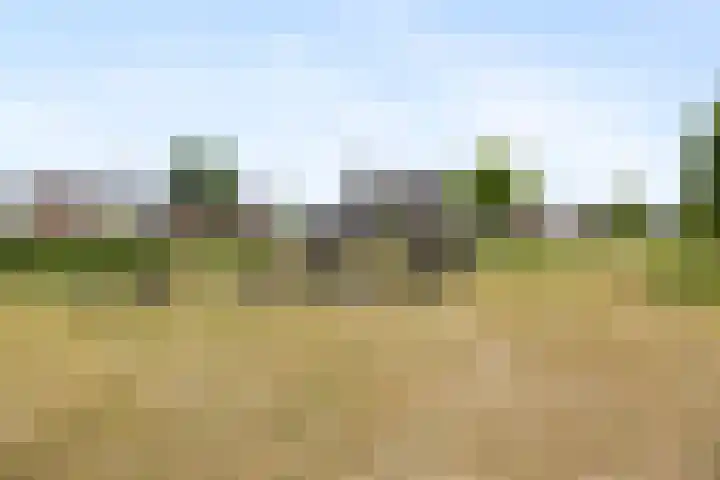 Ploegschaar 29 Voorthuizen thumbnail 39