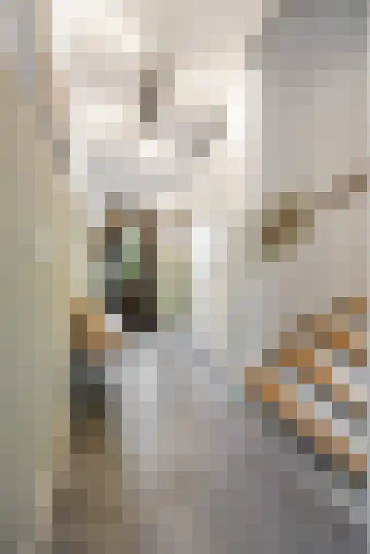 Ploegschaar 29 Voorthuizen thumbnail 6