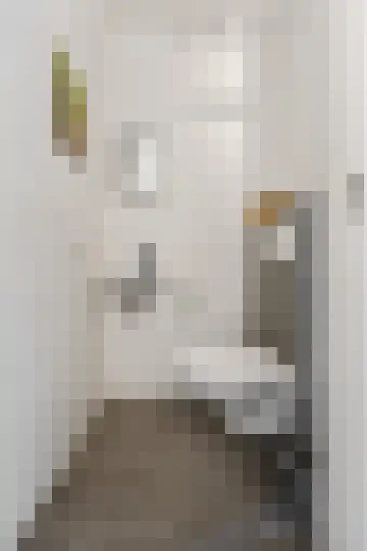 Ploegschaar 29 Voorthuizen thumbnail 7