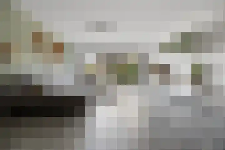 Ploegschaar 29 Voorthuizen thumbnail 8