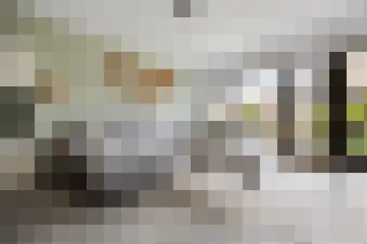 Ploegschaar 29 Voorthuizen thumbnail 9