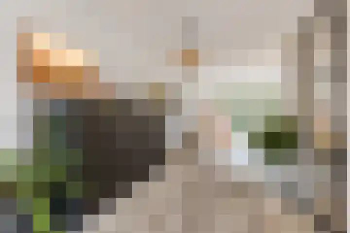 Ploegschaar 33 Oosterhout thumbnail 12