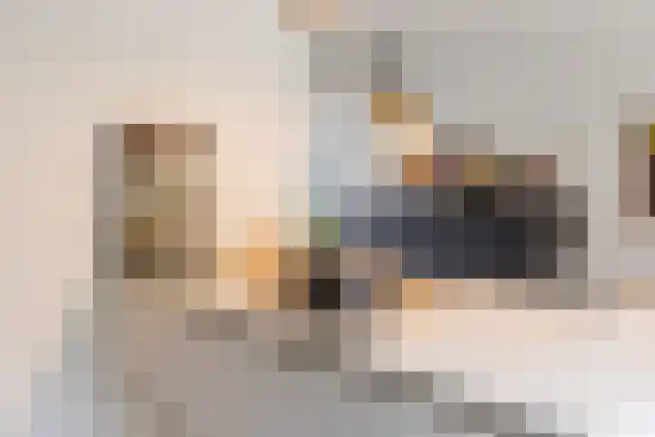 Ploegschaar 33 Oosterhout thumbnail 16