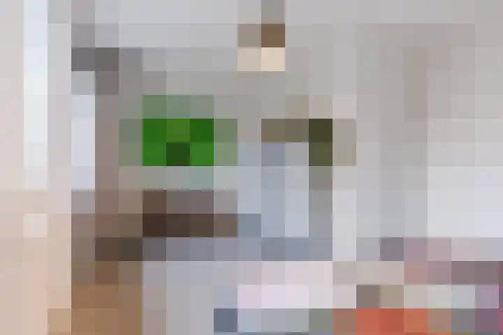 Ploegschaar 33 Oosterhout thumbnail 24
