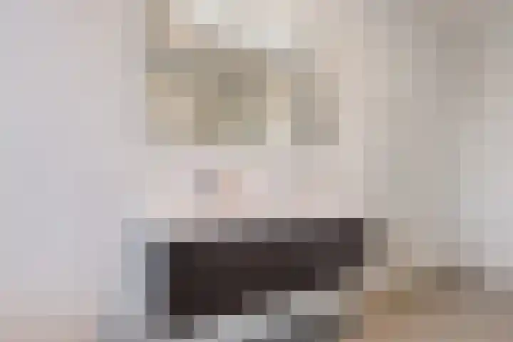 Ploegschaar 33 Oosterhout thumbnail 29
