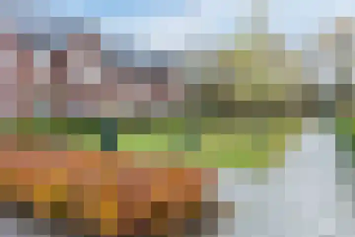 Ploegschaar 33 Oosterhout thumbnail 35