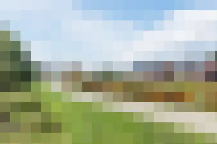 Ploegschaar 33 Oosterhout thumbnail 36