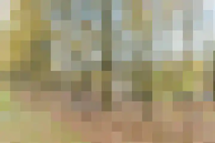 Ploegschaar 33 Oosterhout thumbnail 38