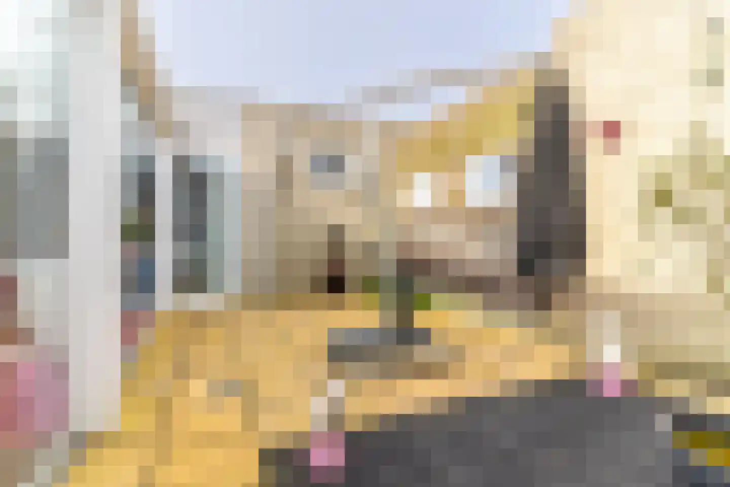 Ploegschaar 34 Soest thumbnail 23