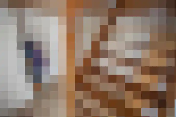 Ploegschaar 6 Wierden thumbnail 11