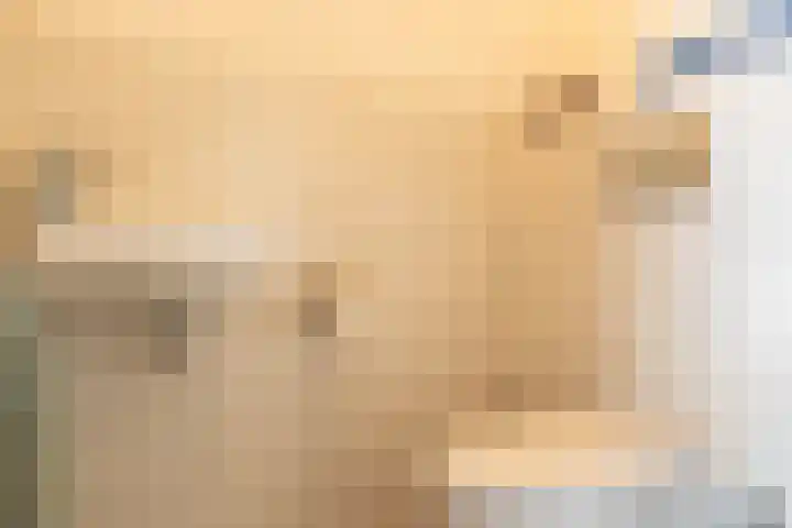 Ploegschaar 6 Wierden thumbnail 13