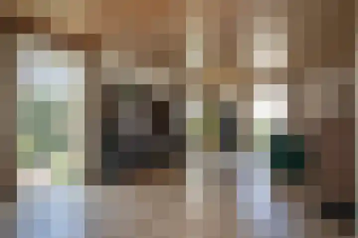 Ploegschaar 6 Wierden thumbnail 14