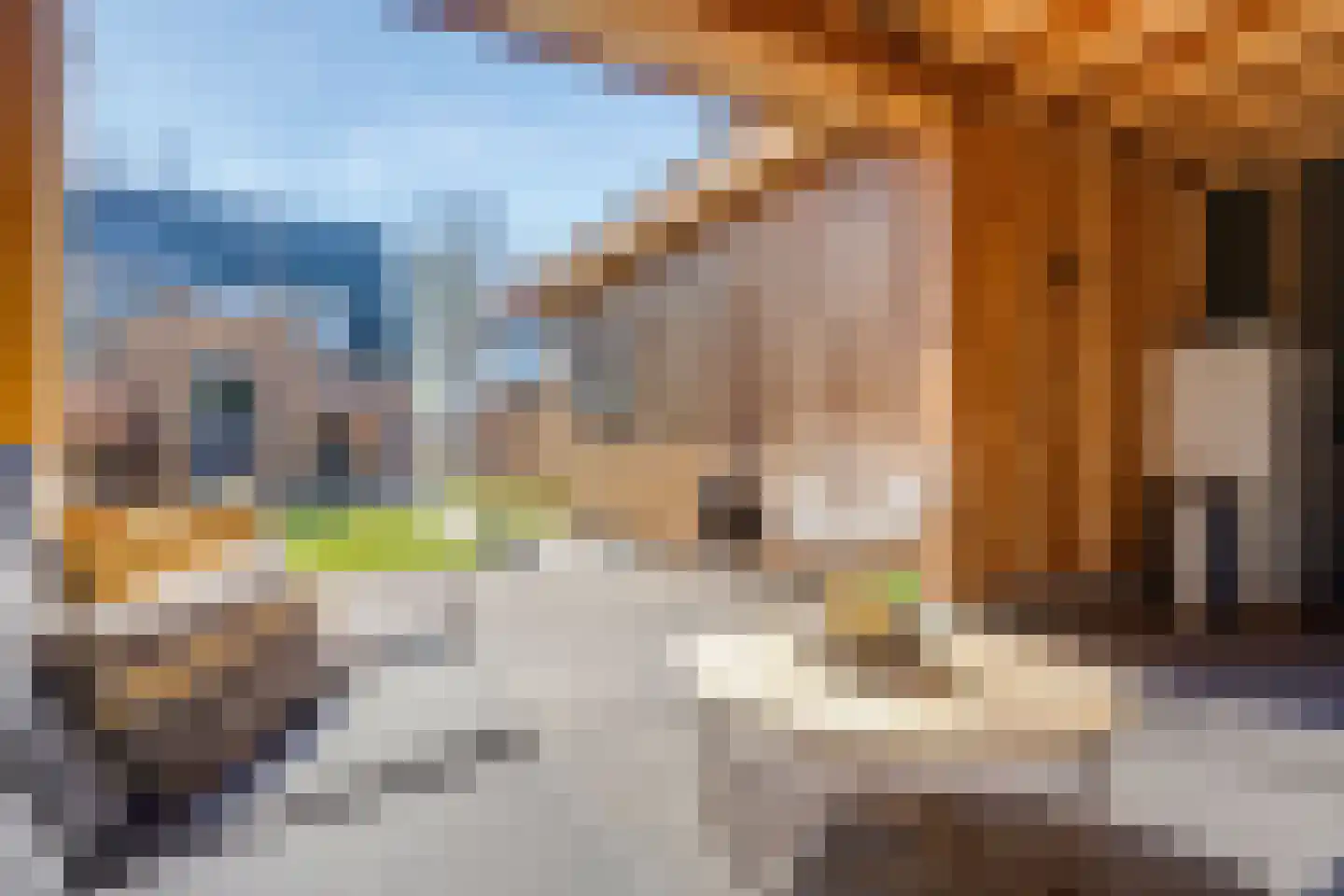 Ploegschaar 6 Wierden thumbnail 24
