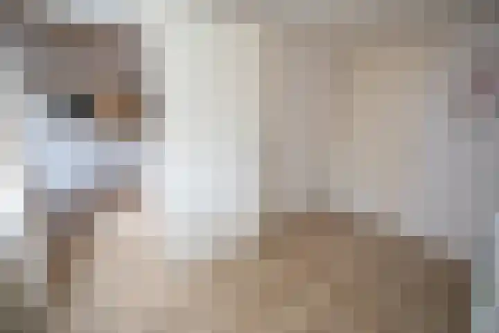 Ploegschaar 6 Wierden thumbnail 28
