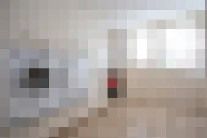 Ploegschaar 6 Wierden thumbnail 29