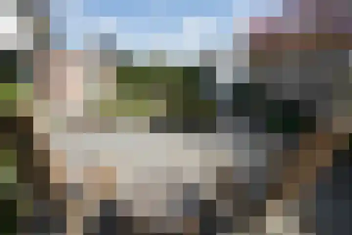 Ploegschaar 6 Wierden thumbnail 5