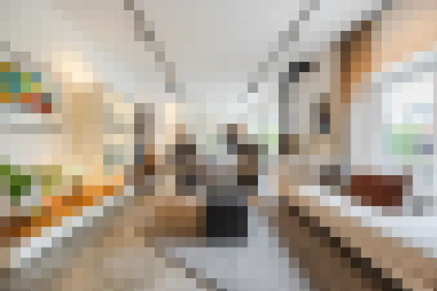 Ploegschaar 6 Zevenbergschen Hoek thumbnail 12