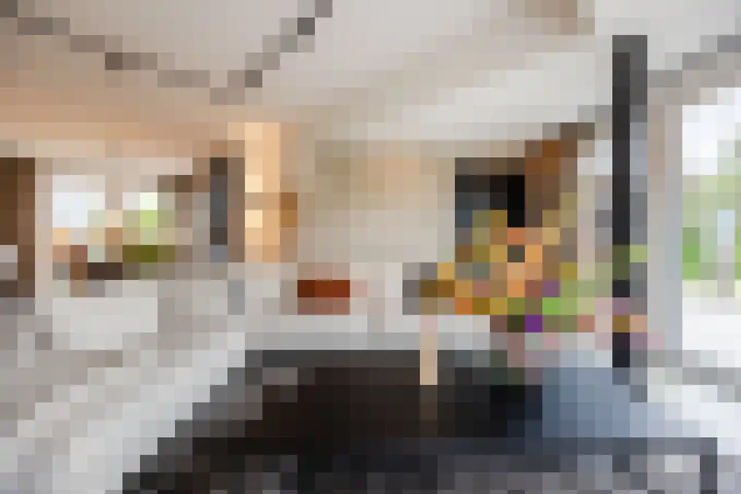 Ploegschaar 6 Zevenbergschen Hoek thumbnail 13