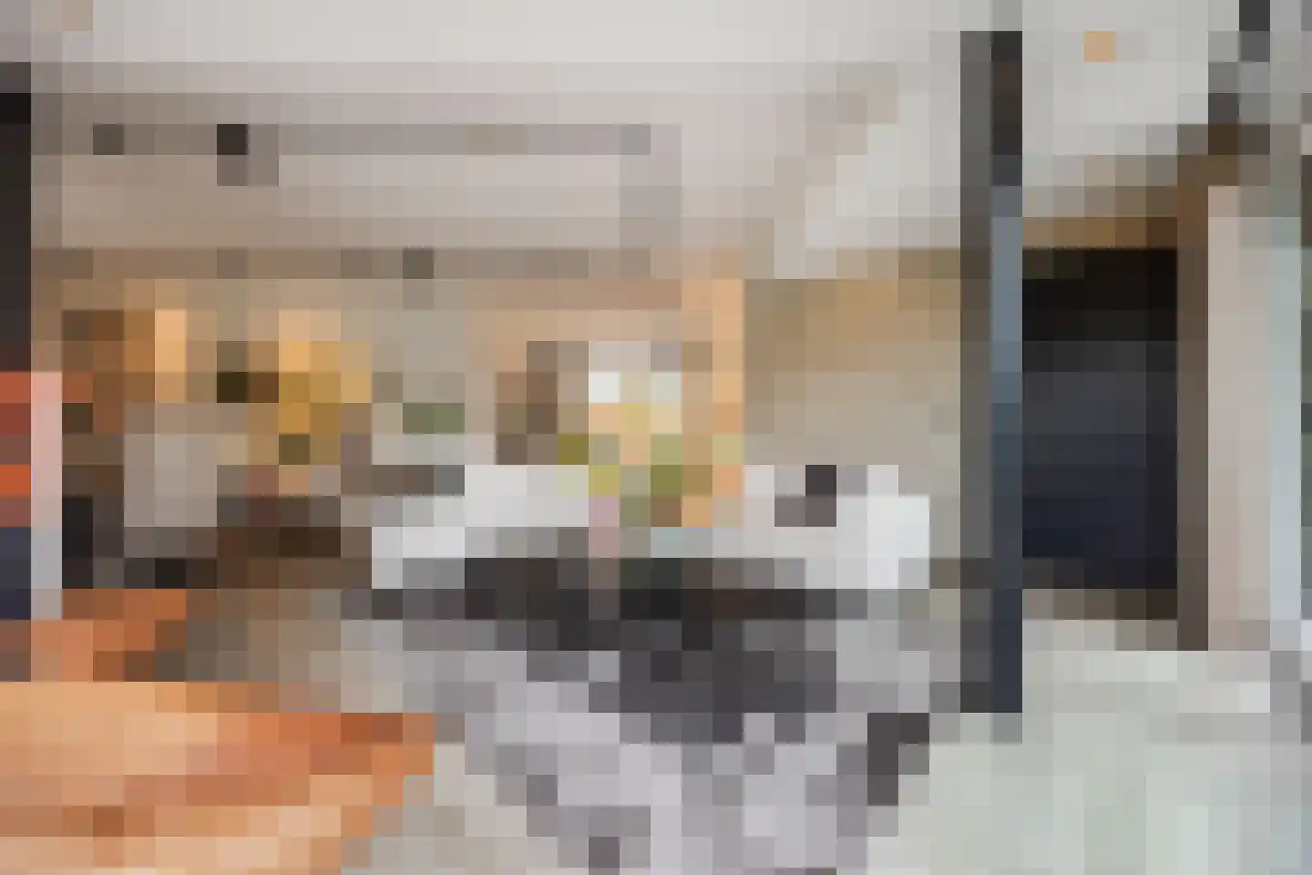 Ploegschaar 6 Zevenbergschen Hoek thumbnail 14