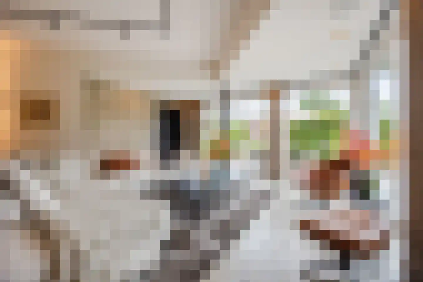 Ploegschaar 6 Zevenbergschen Hoek thumbnail 16