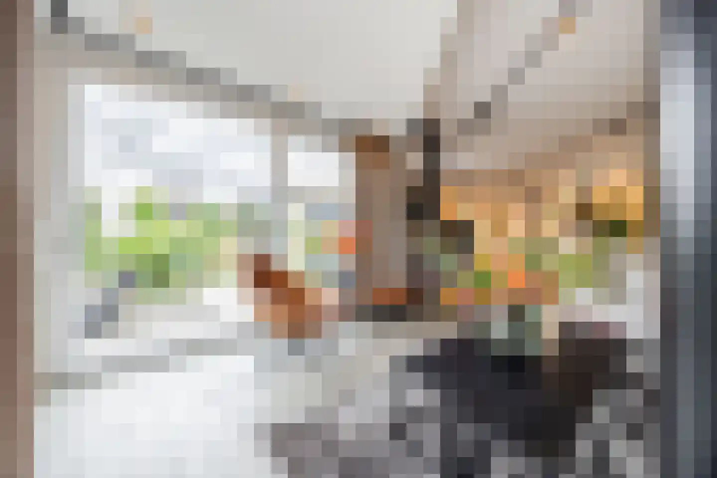 Ploegschaar 6 Zevenbergschen Hoek thumbnail 17
