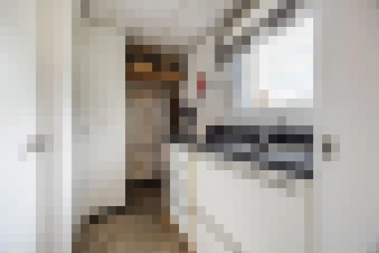 Ploegschaar 6 Zevenbergschen Hoek thumbnail 24