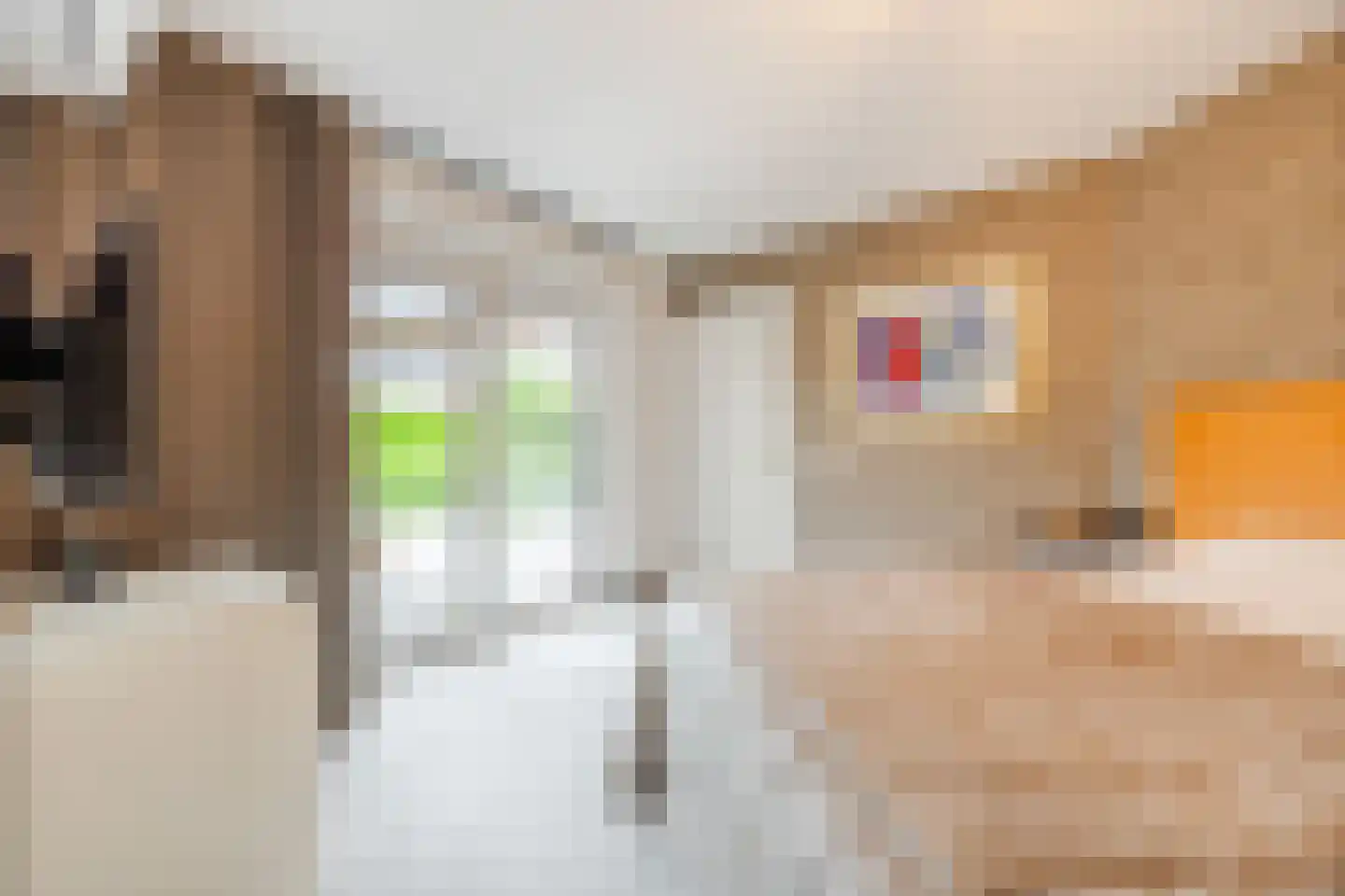 Ploegschaar 6 Zevenbergschen Hoek thumbnail 25