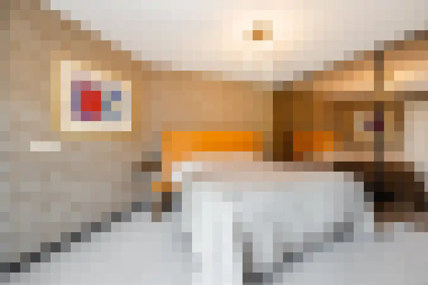 Ploegschaar 6 Zevenbergschen Hoek thumbnail 26