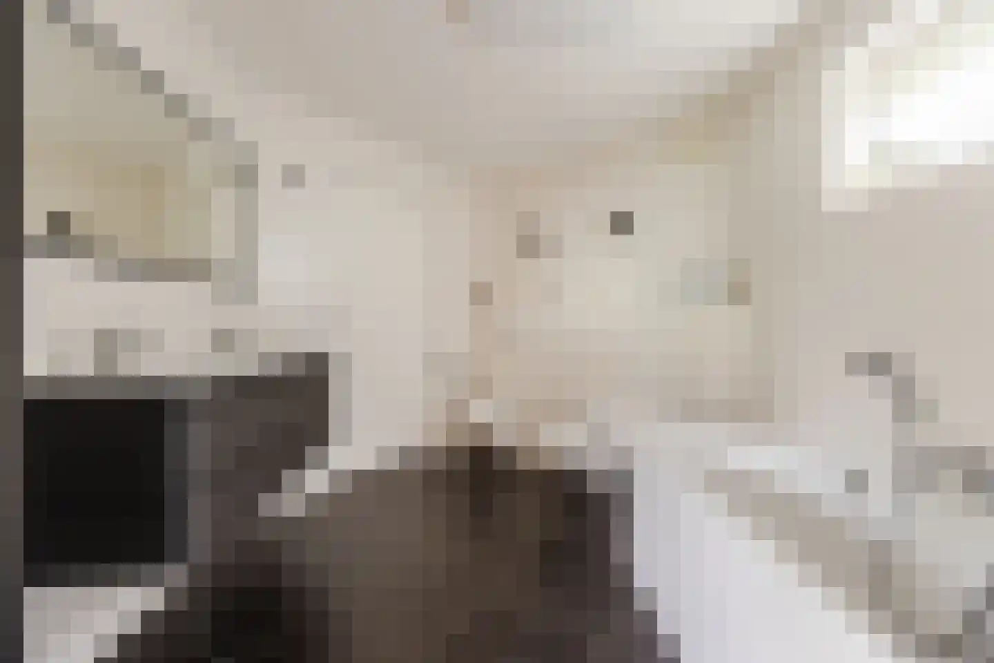 Ploegschaar 6 Zevenbergschen Hoek thumbnail 30