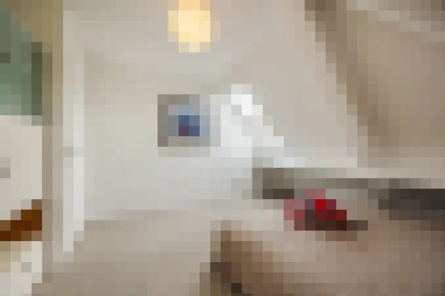 Ploegschaar 6 Zevenbergschen Hoek thumbnail 39