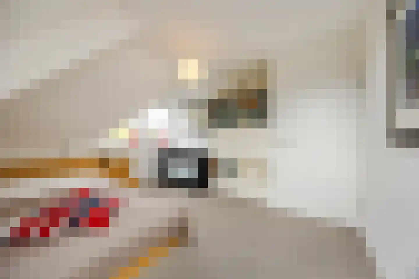 Ploegschaar 6 Zevenbergschen Hoek thumbnail 40