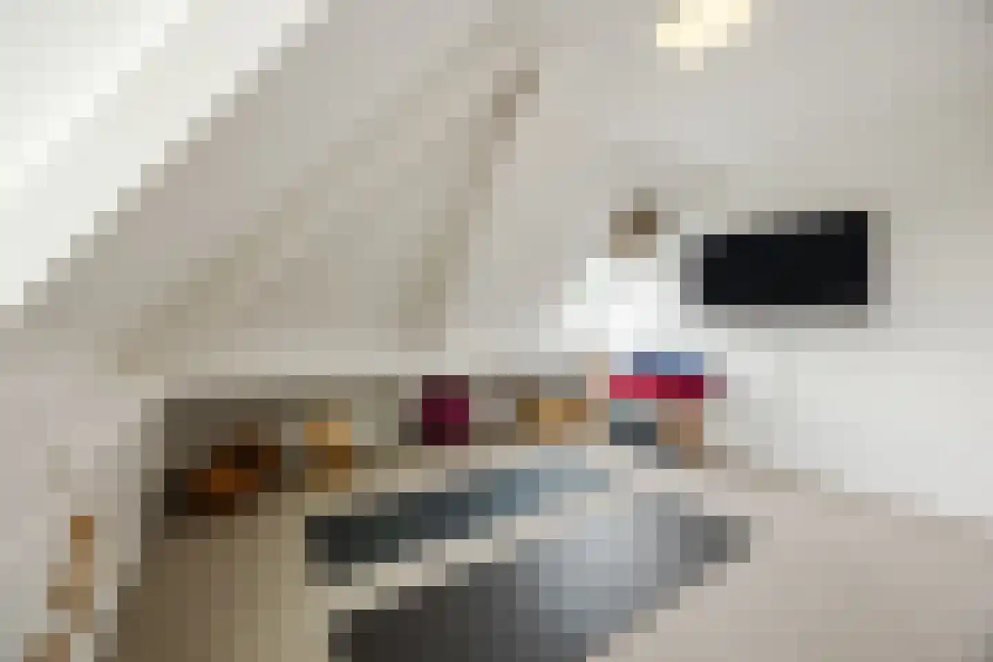 Ploegschaar 6 Zevenbergschen Hoek thumbnail 42