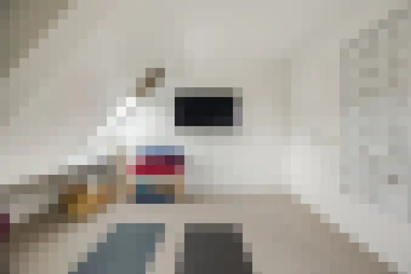 Ploegschaar 6 Zevenbergschen Hoek thumbnail 43