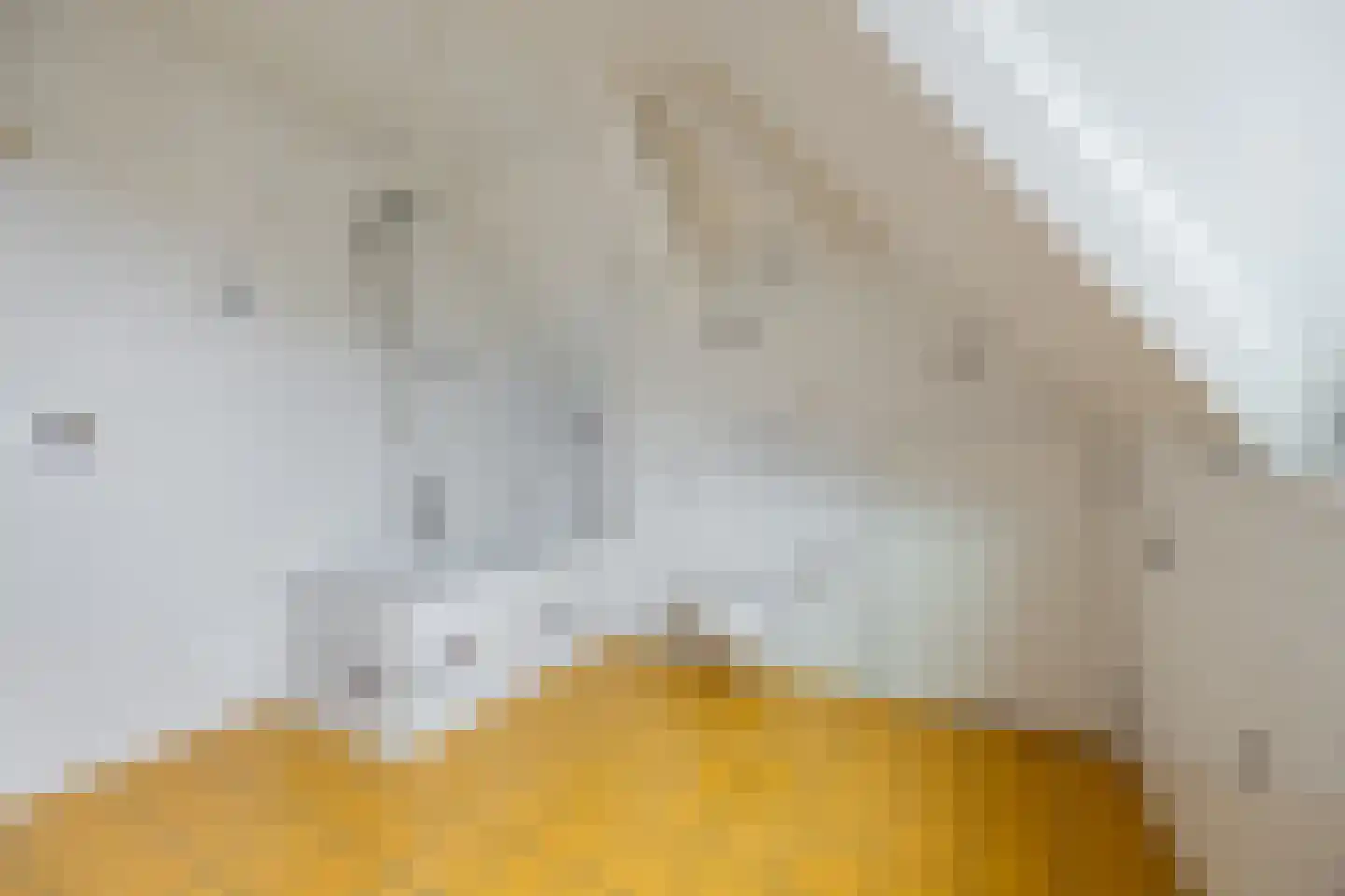 Ploegschaar 6 Zevenbergschen Hoek thumbnail 52
