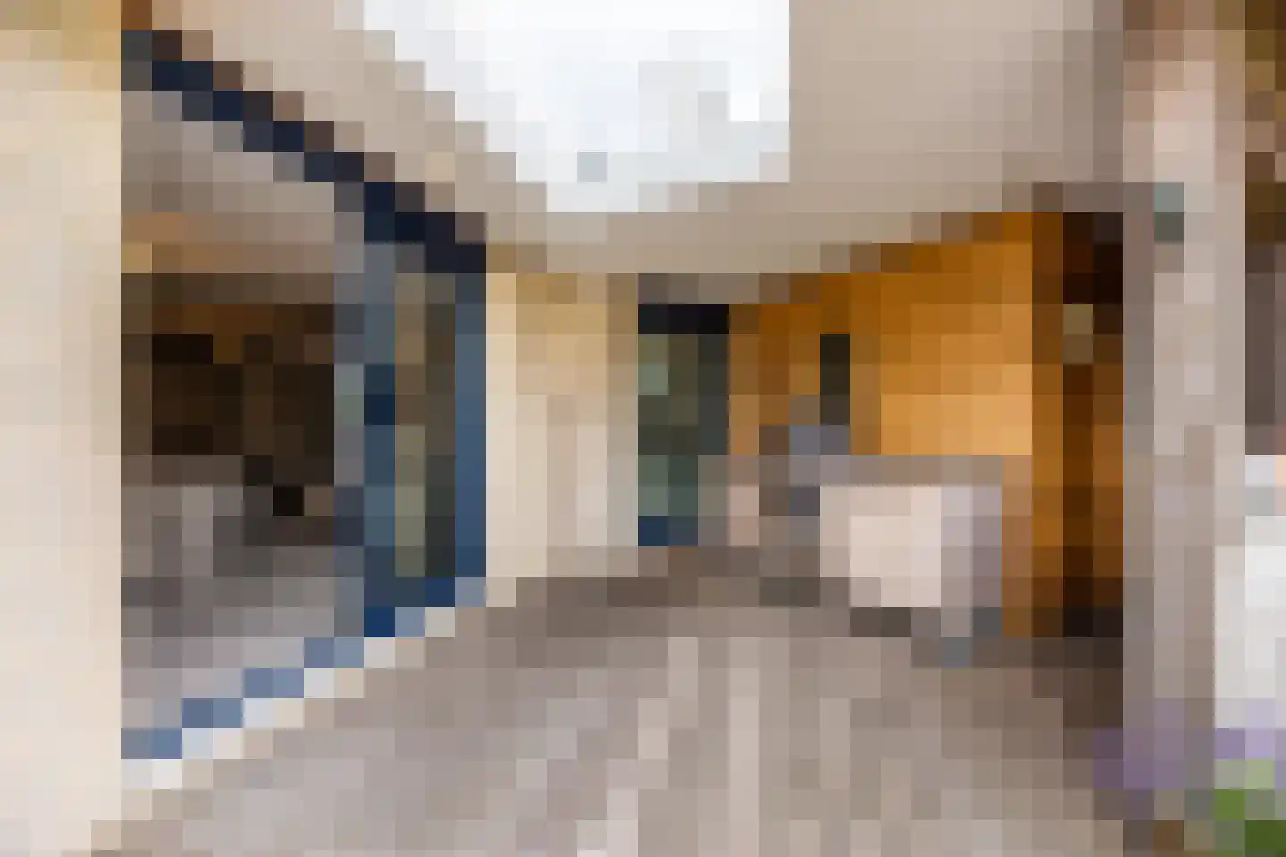 Ploegschaar 6 Zevenbergschen Hoek thumbnail 53