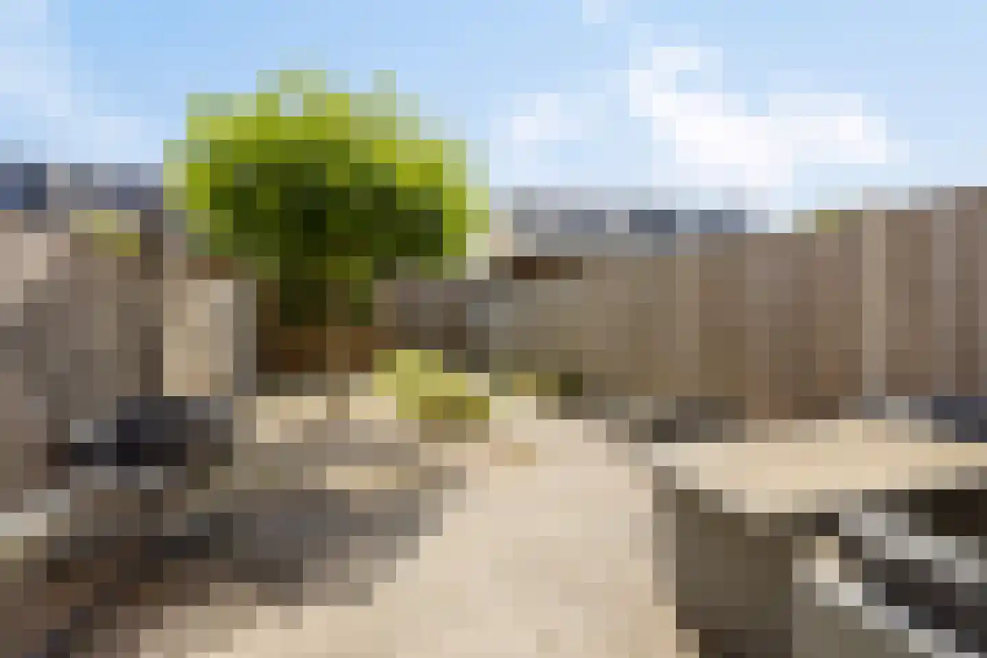 Ploegschaar 9 Voorthuizen thumbnail 30