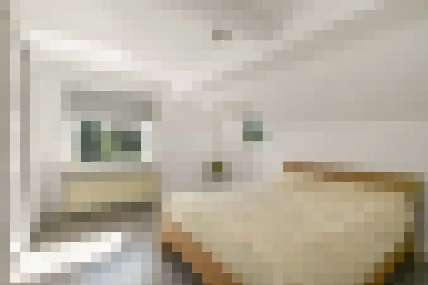 Ploegseweg 17 Oosterbeek thumbnail 35