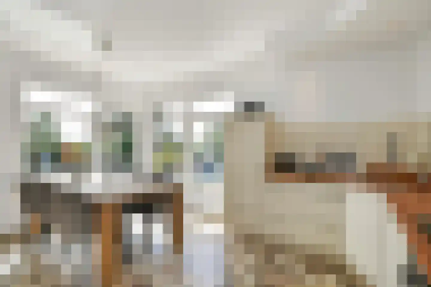 Ploegseweg 17 Oosterbeek thumbnail 5