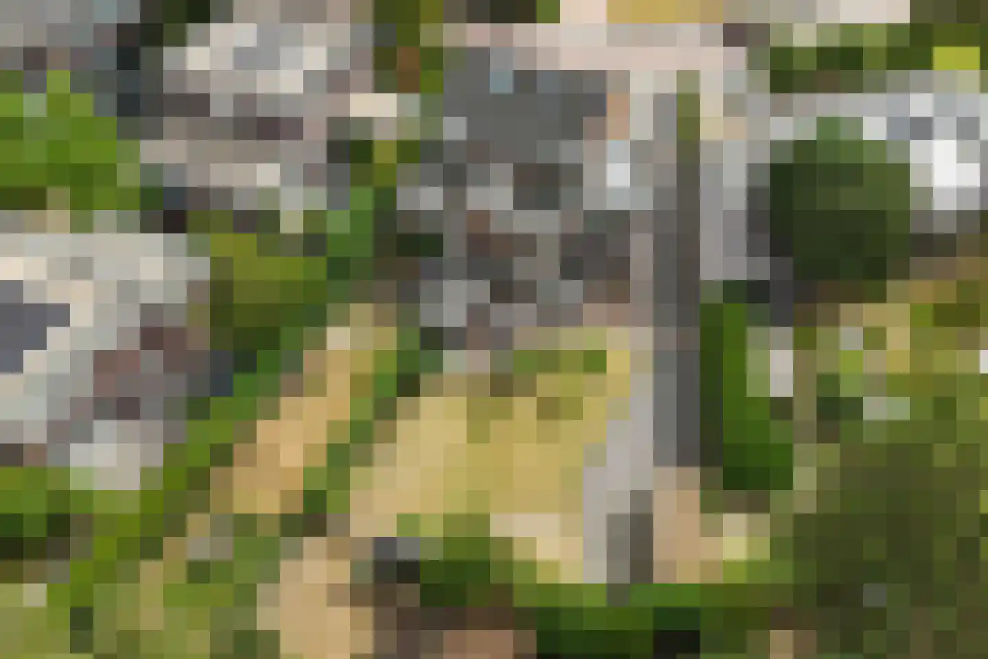 Ploegseweg 17 Oosterbeek thumbnail 51