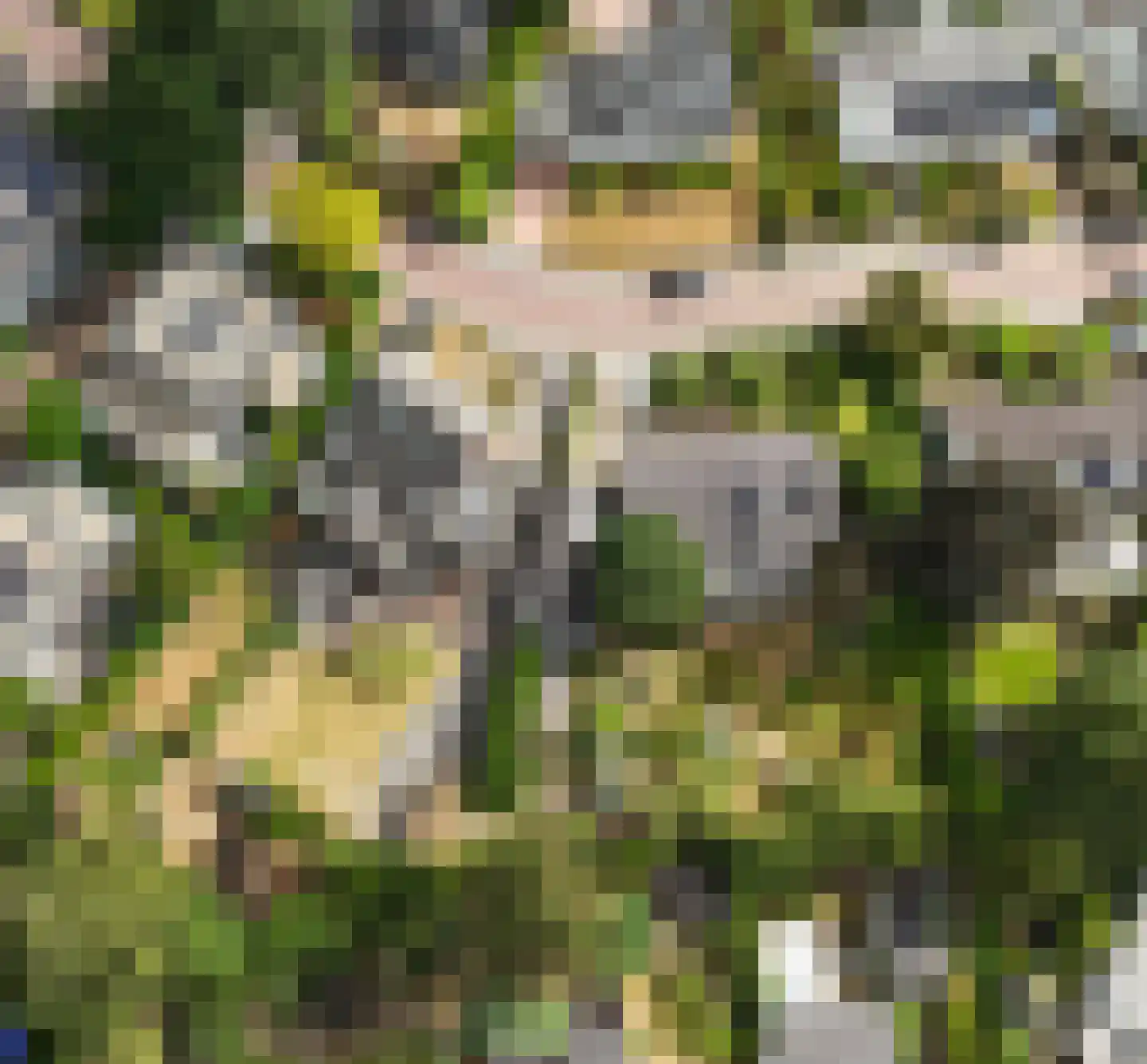 Ploegseweg 17 Oosterbeek thumbnail 53