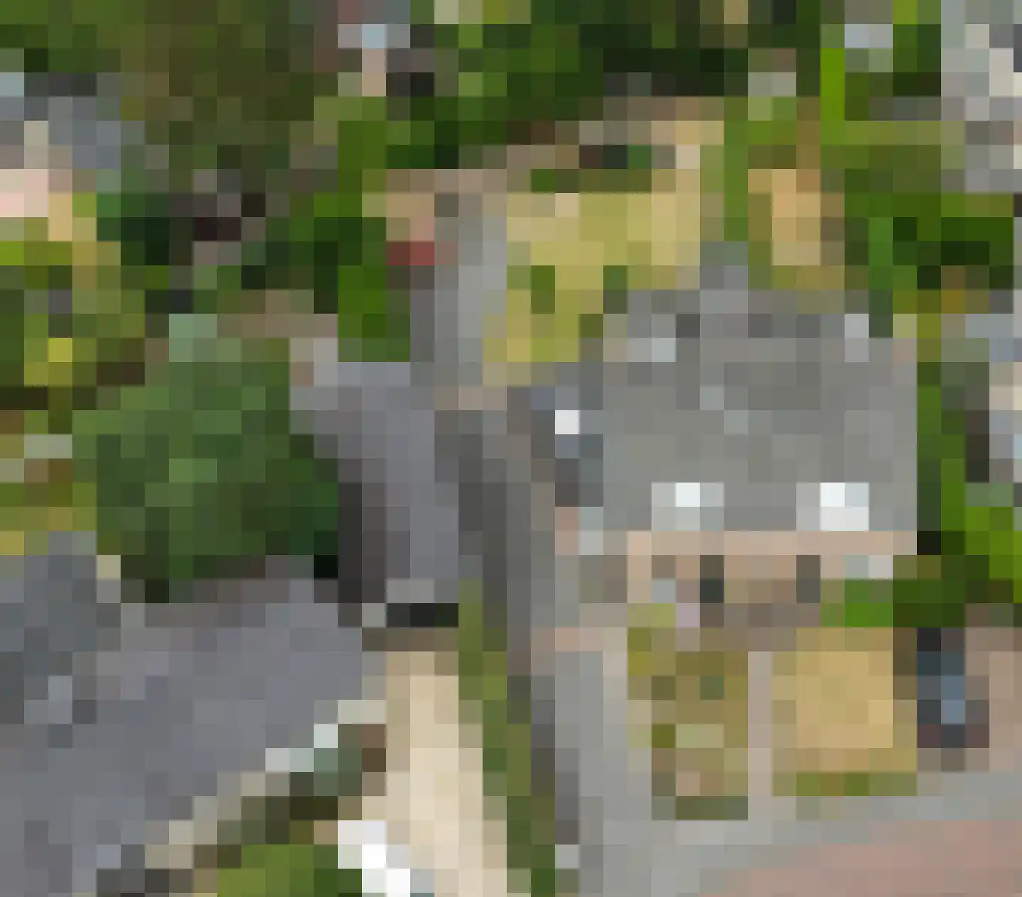 Ploegseweg 17 Oosterbeek thumbnail 6
