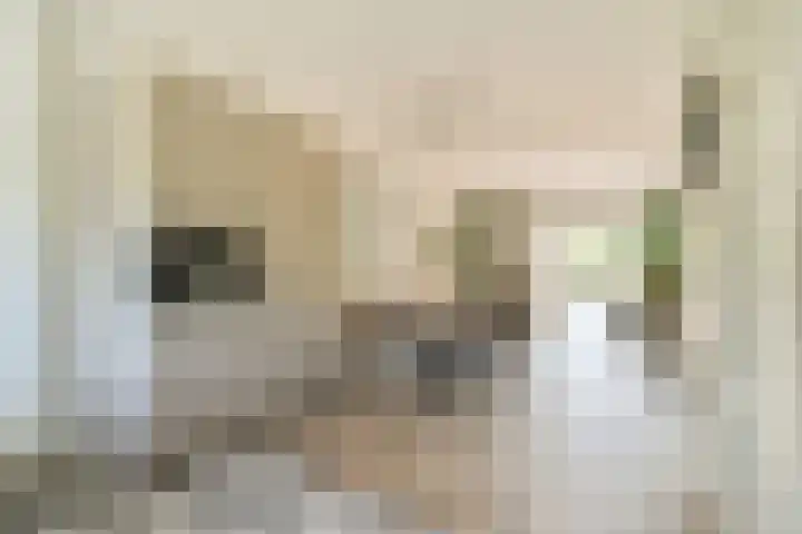 Ploegspoor 22 Haarlem thumbnail 11