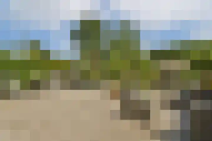 Ploegspoor 22 Haarlem thumbnail 14