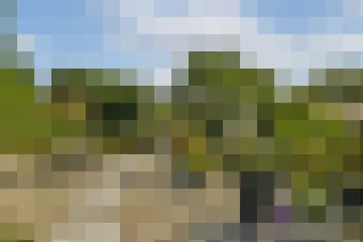 Ploegspoor 22 Haarlem thumbnail 15