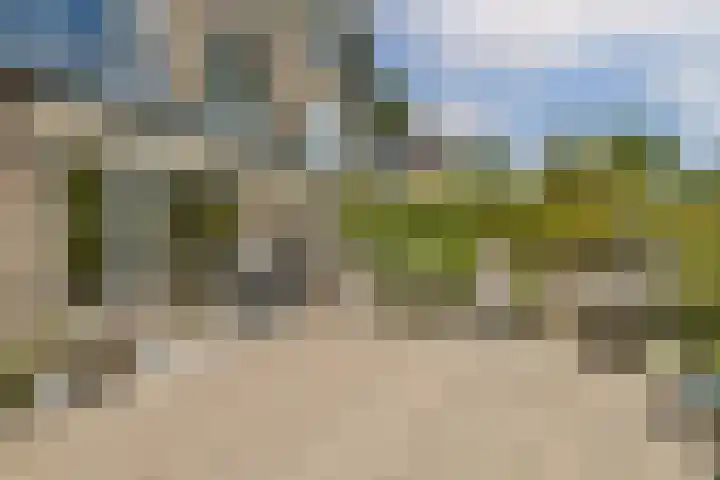 Ploegspoor 22 Haarlem thumbnail 16
