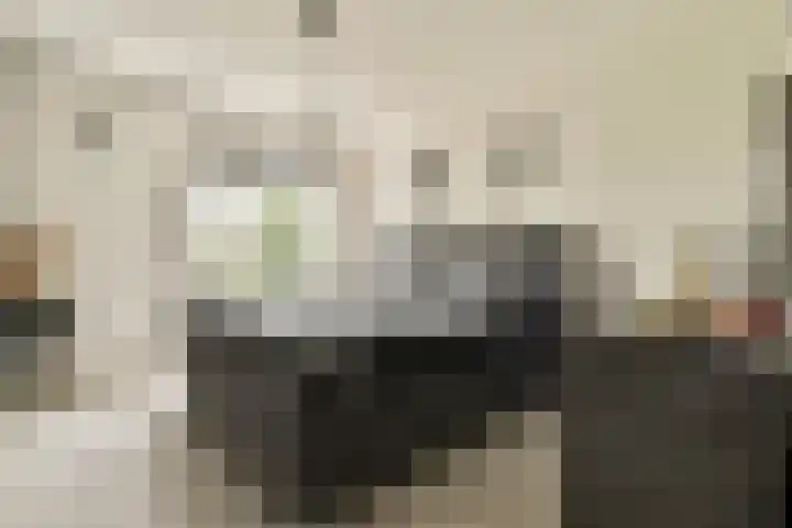 Ploegspoor 22 Haarlem thumbnail 17