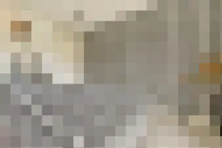 Ploegspoor 22 Haarlem thumbnail 18