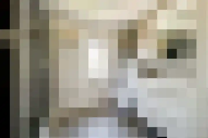Ploegspoor 22 Haarlem thumbnail 19