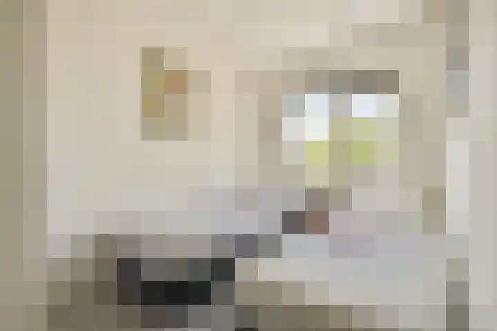 Ploegspoor 22 Haarlem thumbnail 21