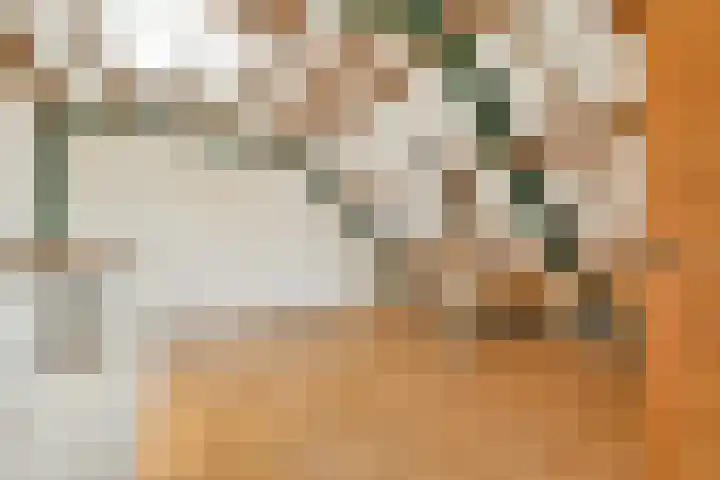 Ploegspoor 22 Haarlem thumbnail 25